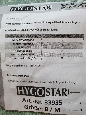 NetObjects Web Design Placeholder